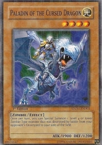 Paladin of the Cursed Dragon