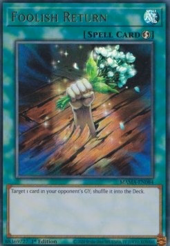 Foolish Return