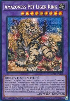 Amazoness Pet Liger King