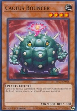 Cactus Bouncer