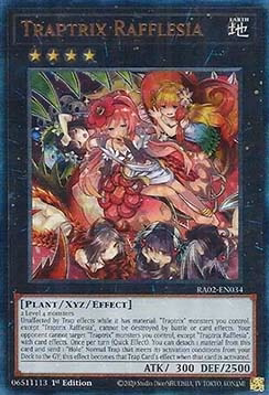 Traptrix Rafflesia (V.7 - Ultimate Rare)
