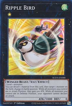 Ripple Bird