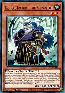 Tactical Trainer of the Six Samurai